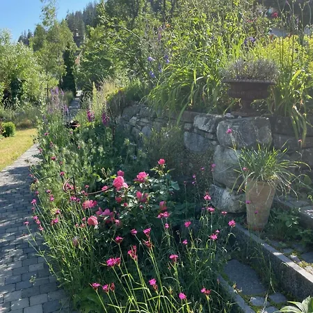 Obegghuus By Interhome Lägenhet